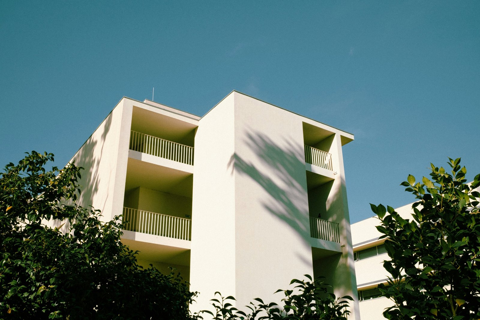 augusto-lopes-4pYg5OUJUrk-unsplash